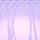 Sérum Redutor Instantâneo de Linhas – Le Moritz – Efeito Lifting Imediato